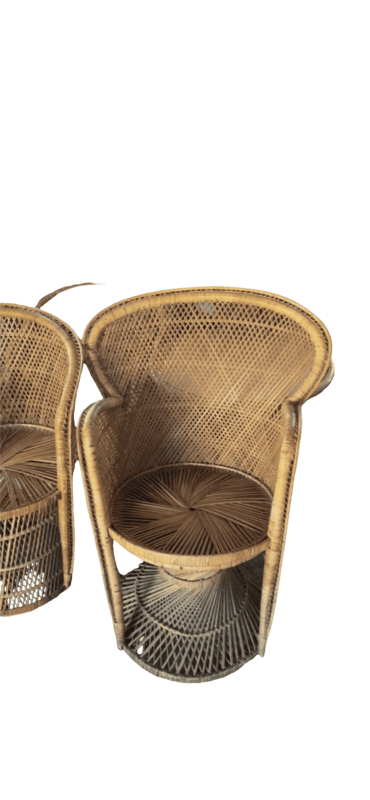 Fauteuil Emmanuelle bas pied fin