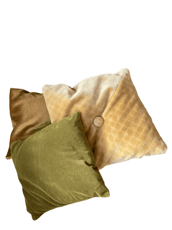 Coussin velours vert