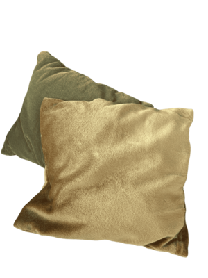 Coussin velours beige