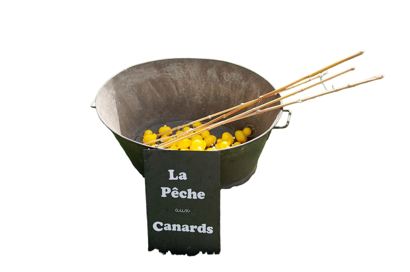 Pêche aux canards