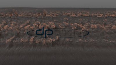 Shockwave_Close_Back_06