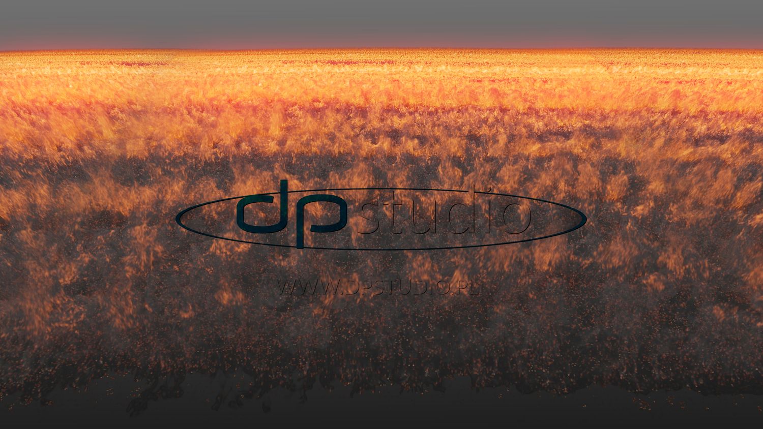 Shockwave_Close_Back_07