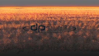 Shockwave_Close_Back_07