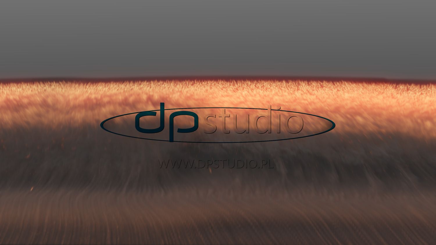 Shockwave_Close_Back_03