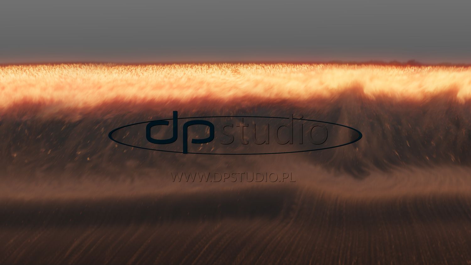 Shockwave_Close_Back_04