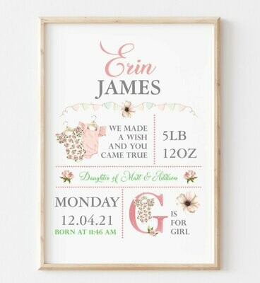 New Baby Girl Gift, New Baby Gift Personalised, New Baby Print, Christening Gift, Birth Details Print, Birth Stats Framed Blue Nursery Decor