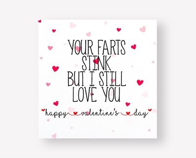 Simple Funny/Sarcastic Valentine's Card-For Him/Her- Your Farts Stink But I Still Love You