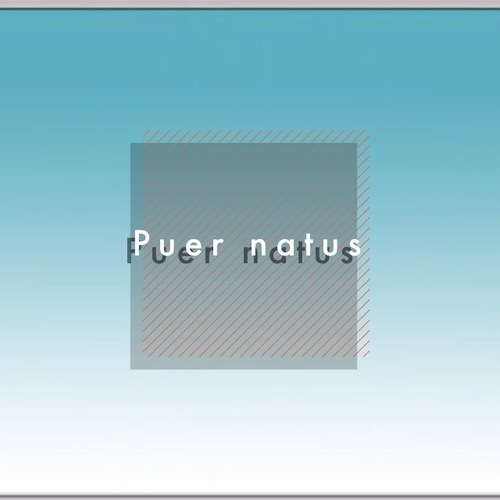 Puer Natus