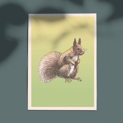 Illustraties &#39;Sammie&#39; A6