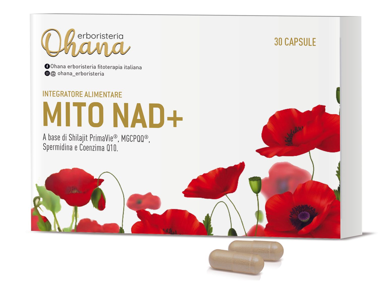 MITO NAD +