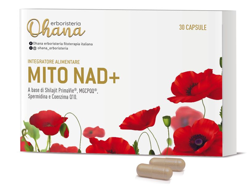 MITO NAD +