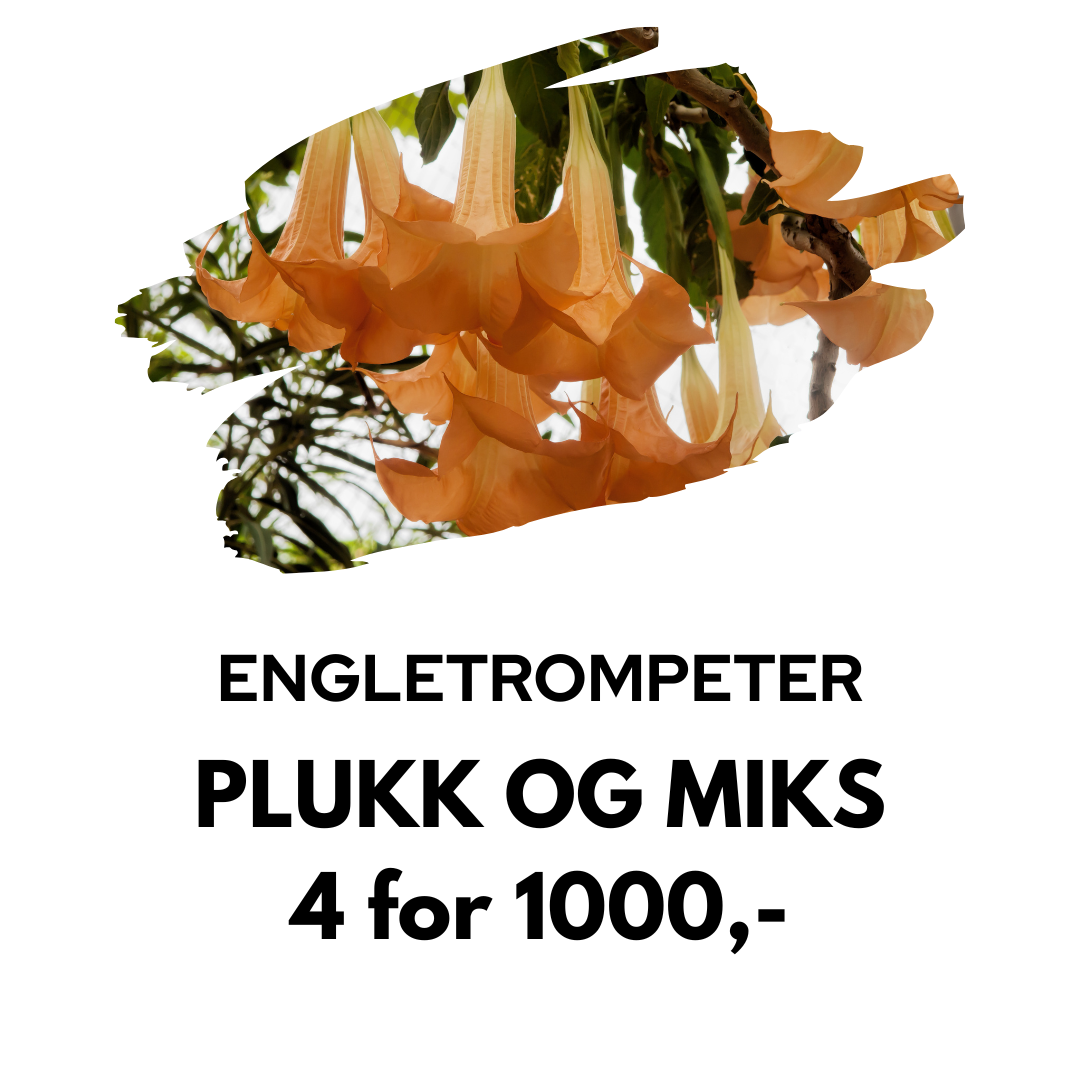 Plukk og miks: 4 for 1000,-