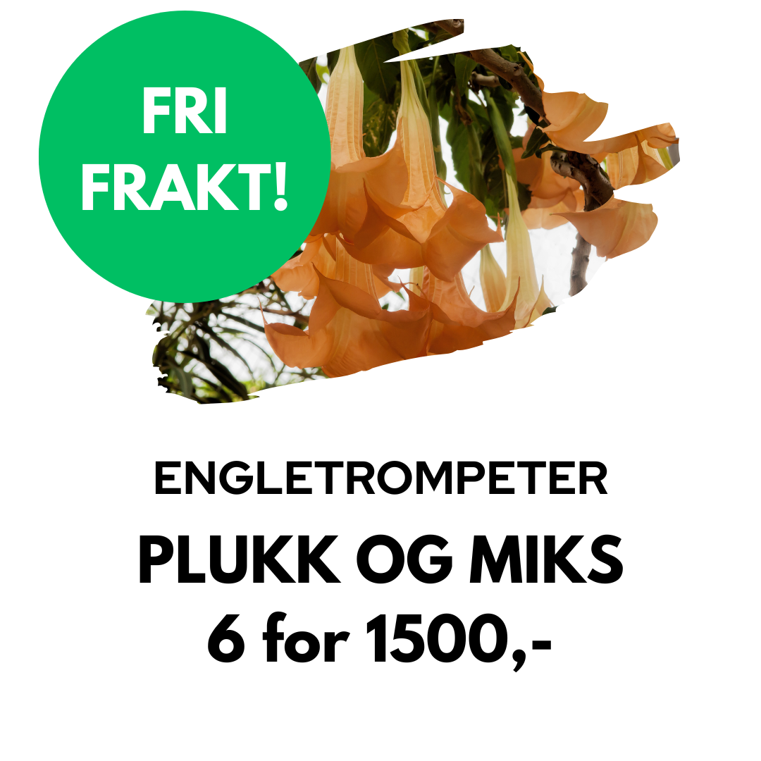 Plukk og miks: 6 for 1500,-