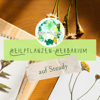 Online-Angebot: "Heilpflanzen-Herbarium"