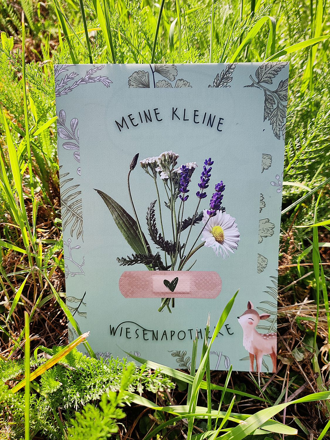 Meine kleine Wiesenapotheke