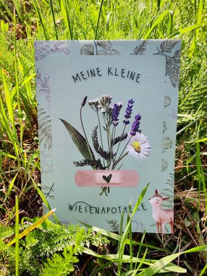 Meine kleine Wiesenapotheke