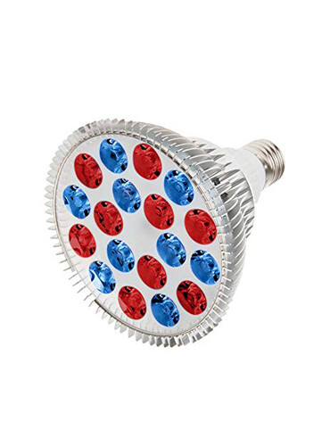 RubyLux™ All Red &amp; Blue Light LED Bulb - 2nd Generation 220V