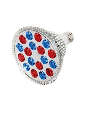 RubyLux™ All Red &amp; Blue Light LED Bulb - 2nd Generation 220V