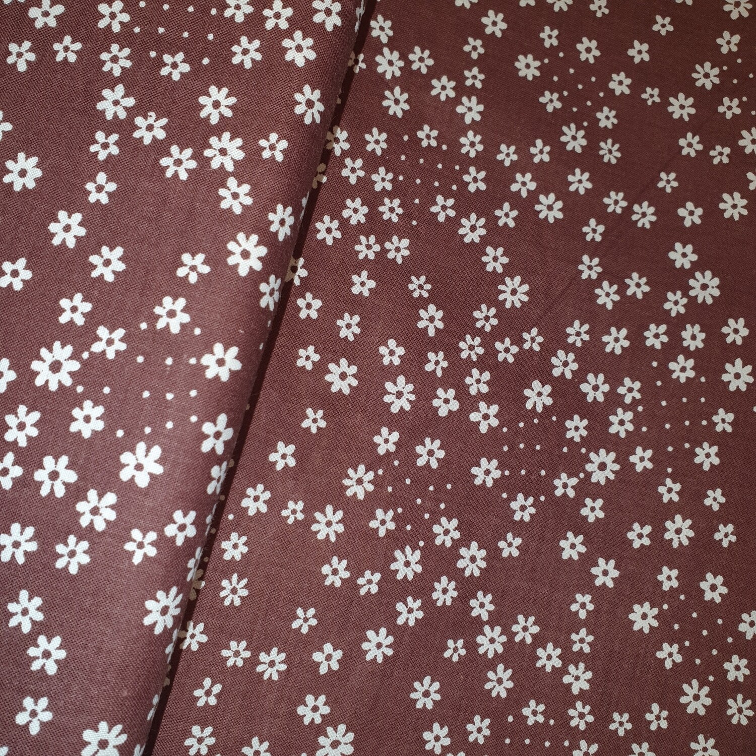 Baumwolle Braun Blümchen