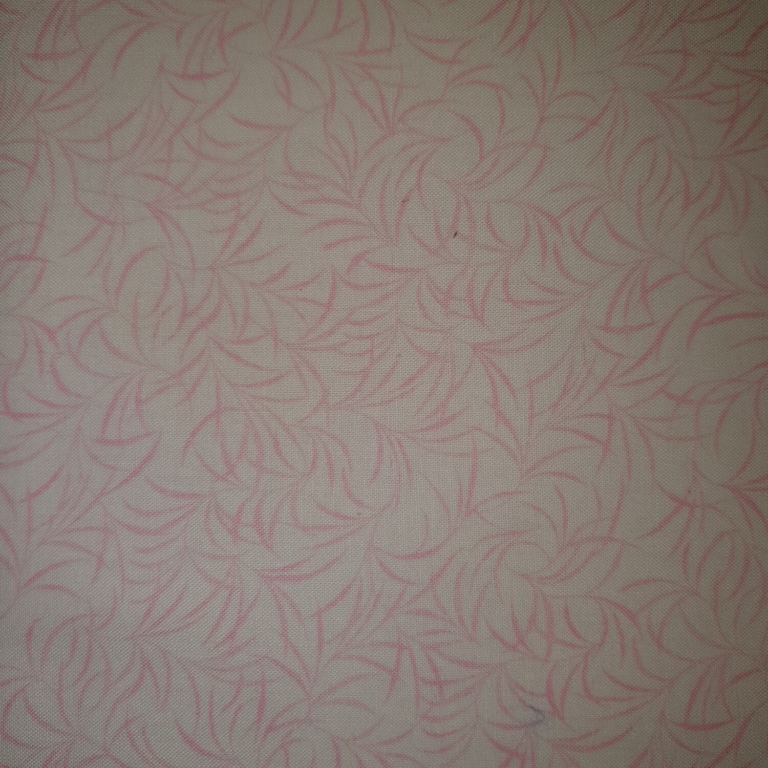 Baumwolle BEAR ESSENTIALS rosa