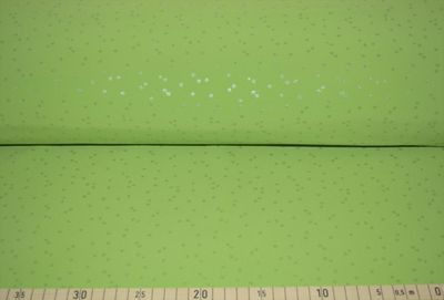 Softshell "silber Stern (Lemon) "