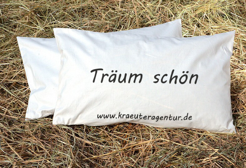 Heukissen &quot;Träum schön&quot;