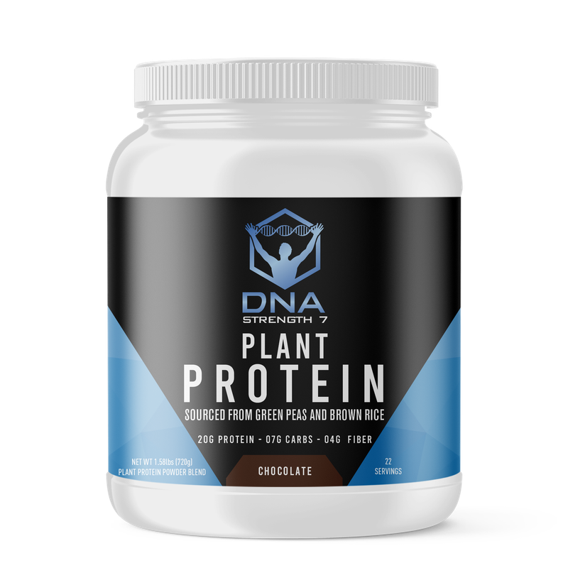 Plant Protein