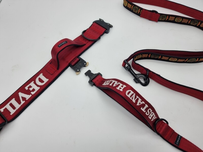 Taktisches Halsband & Leinenset