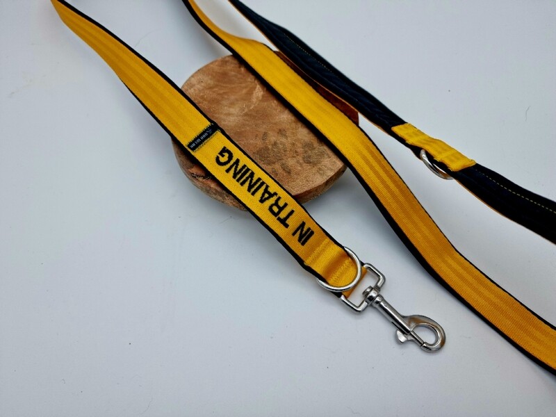 Yellow Bow 3- Punkt Leine Light
