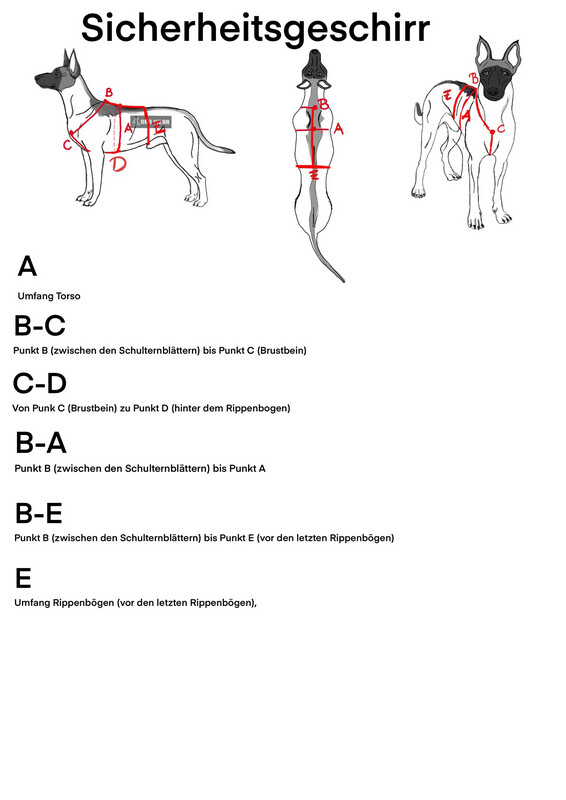 Sicherheitsgeschirr Extrem