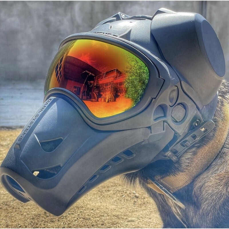 DARK SYSTEMS DarkFighter K9 Helm