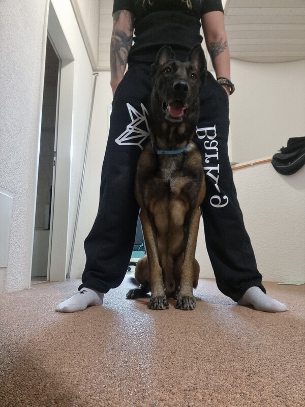 BarK-9 Jogging Hose