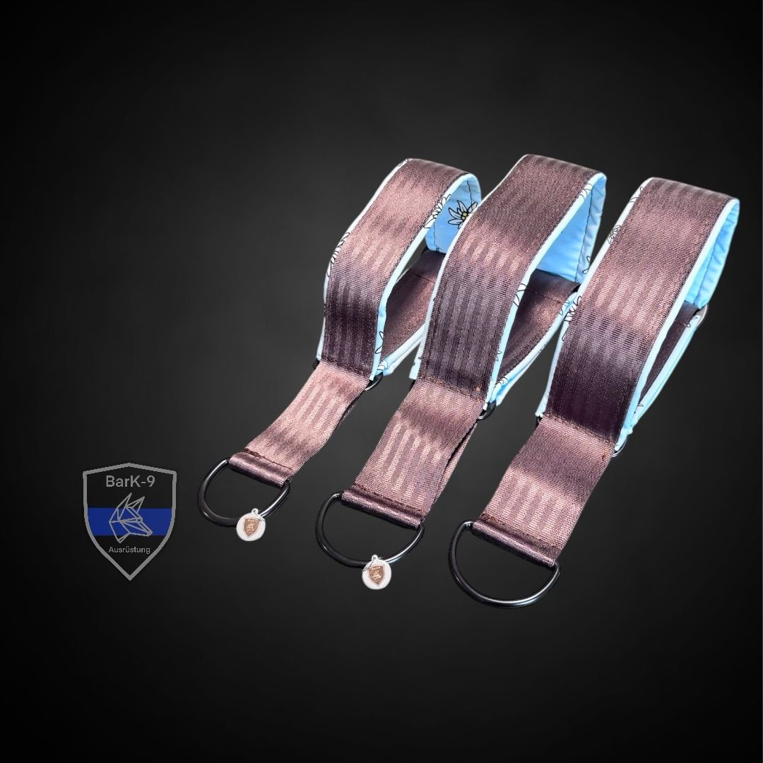 BünzliHund LIMITED, Ausführung: Extreme Line Zugstopp Halsband