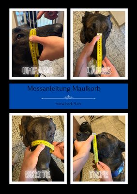 Maulkorb Beratung Maulkorb Beratung