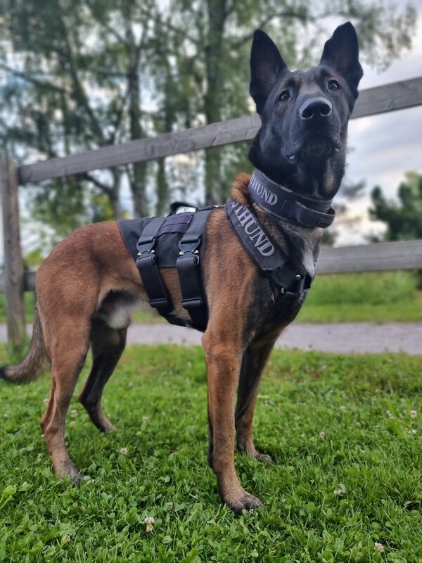 Stichschutz Einsatzgeschirr