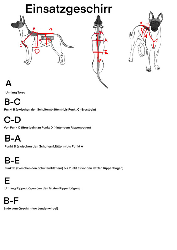 Stichschutz Einsatzgeschirr