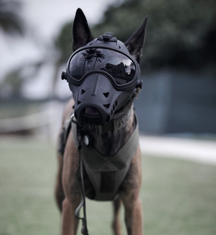 DARK SYSTEMS DarkFighter K9 Ersatzvisier