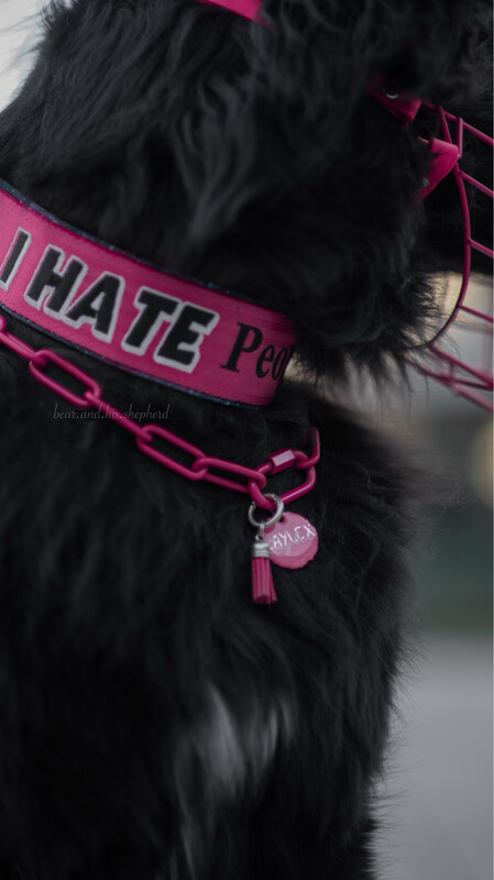 Eastside Chain Eastside Chain