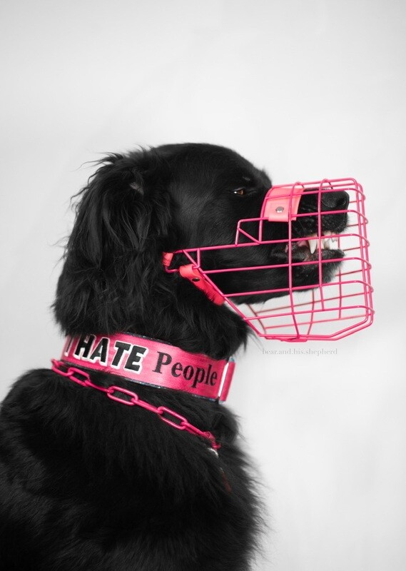 Hexa Riemen und Polster Hexa Riemen und Polster