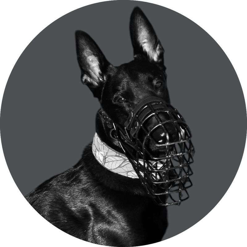 Einsatzmaulkorb Einsatzmaulkorb