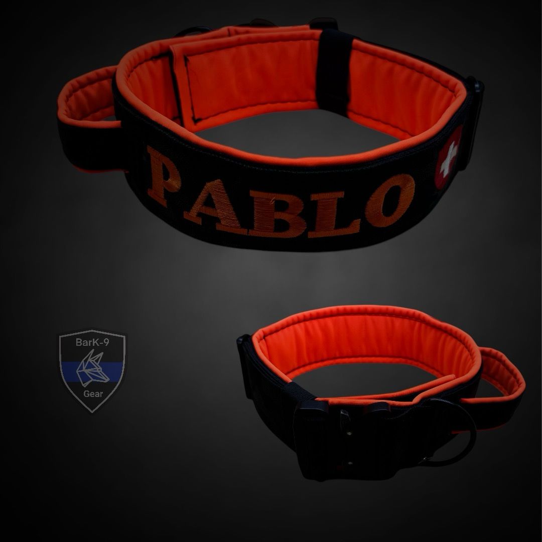 Steckschnallen Halsband Jumbo, Gurtfarbe  Hauptgurt: Schwarz