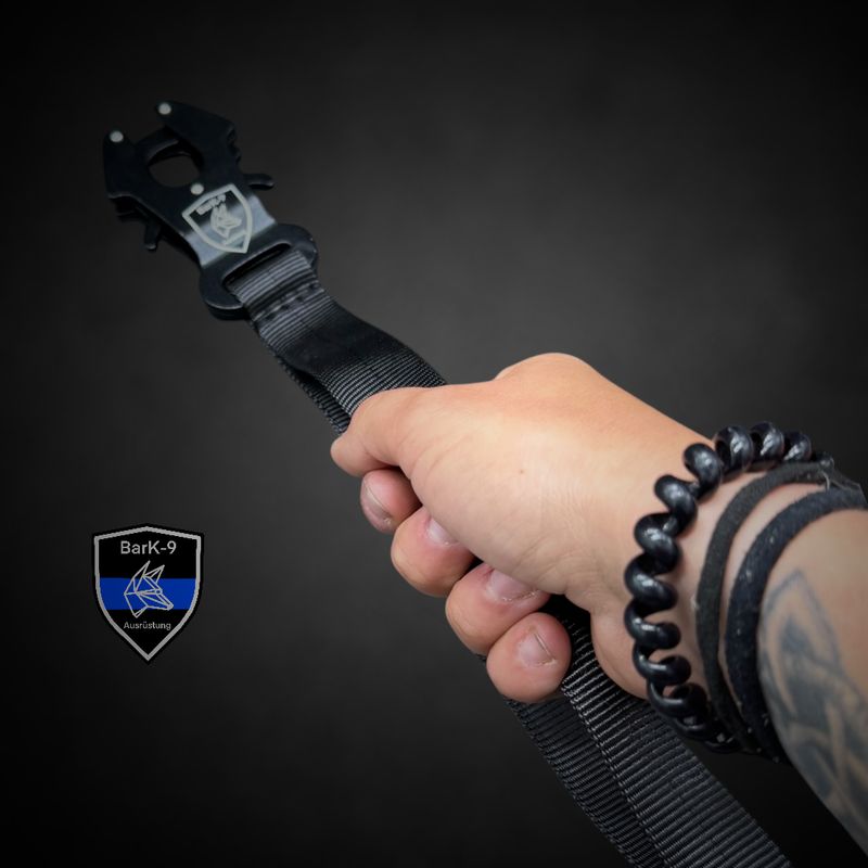 Rollleinen Tactical Umbau