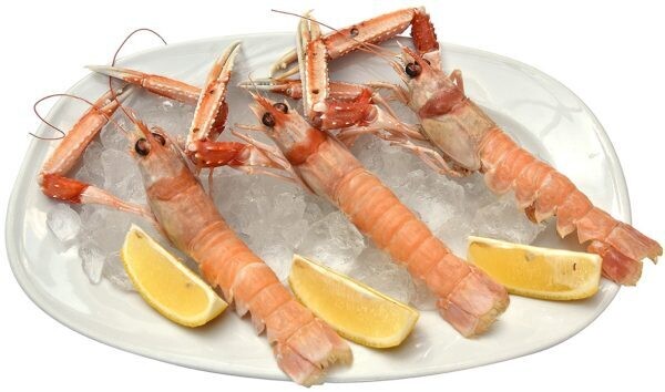 SCAMPI a partire da € 5,50