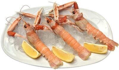 SCAMPI a partire da € 5,50