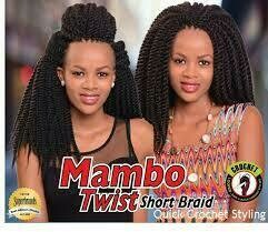 Mambo Twist Short Braid