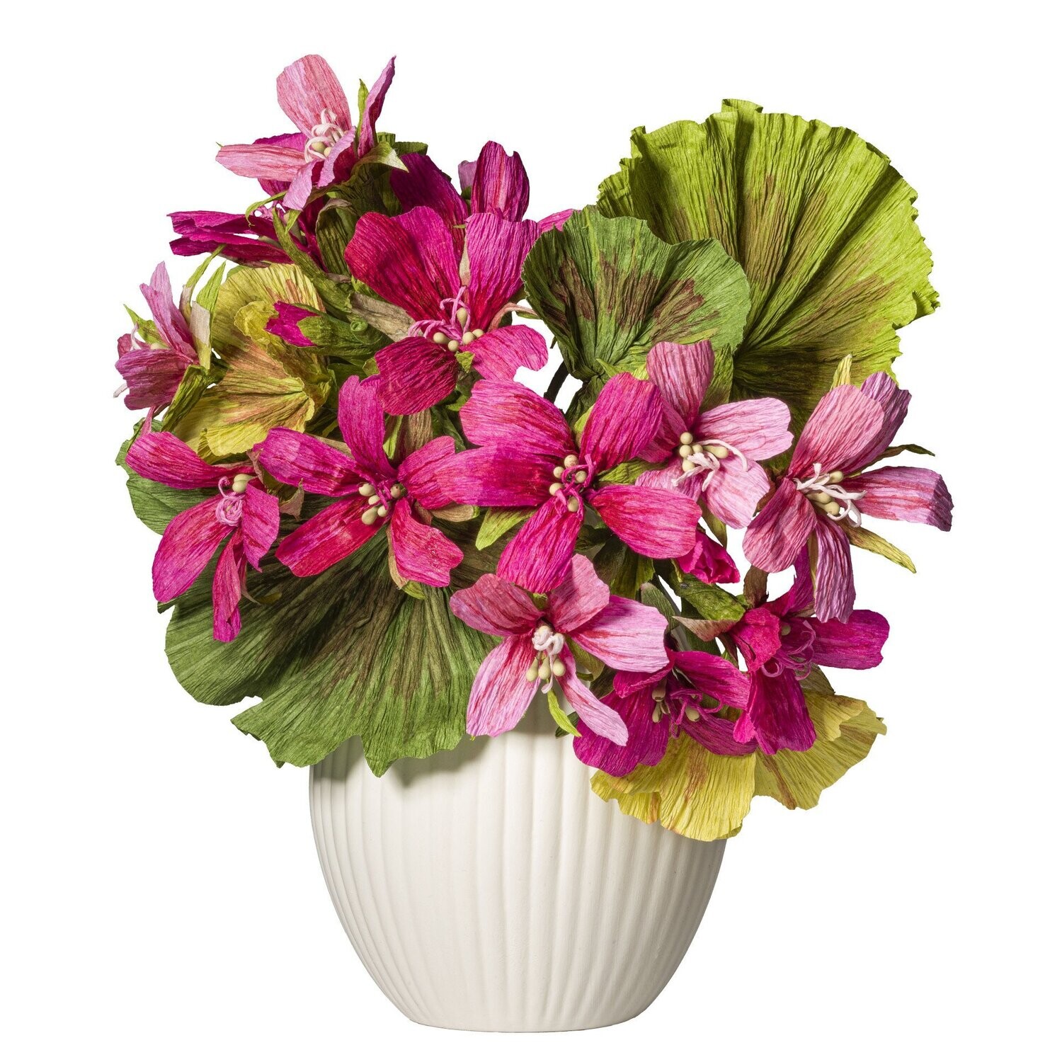 Geranium