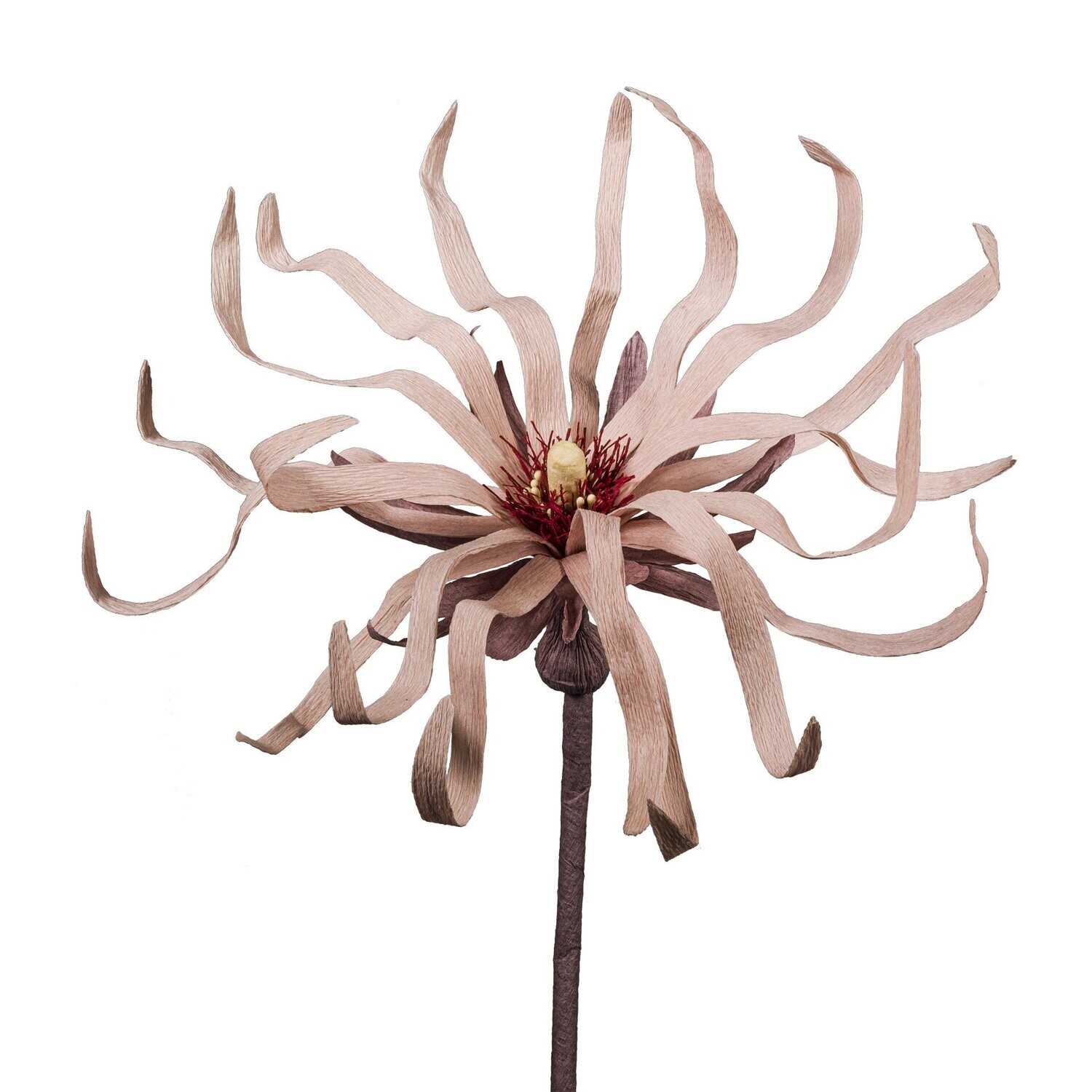 Flora Fantasia 2