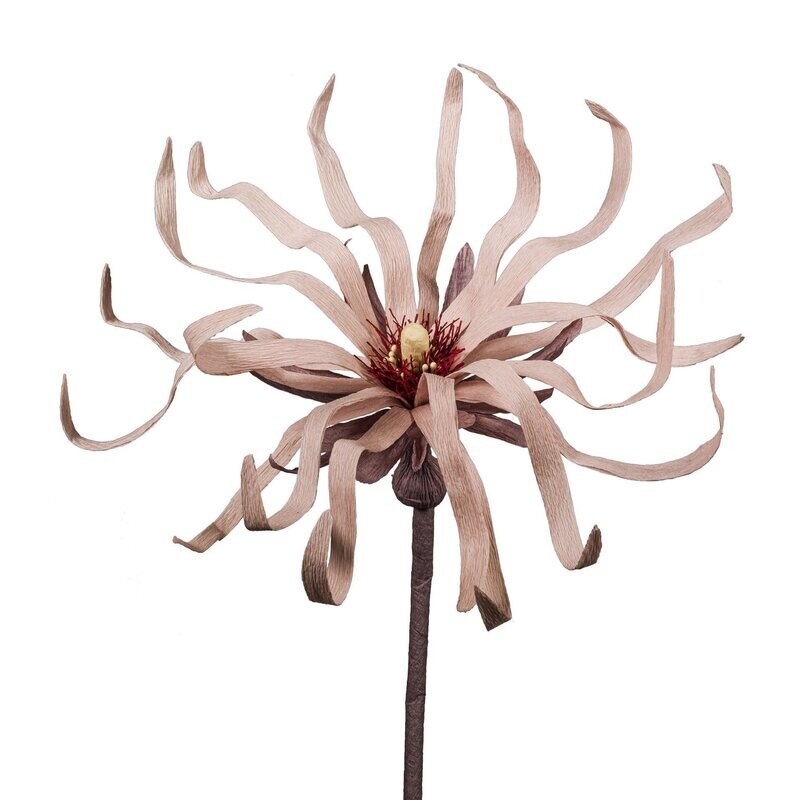 Flora Fantasia 2