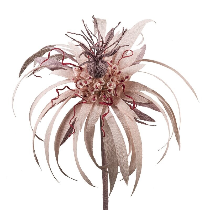 Flora Fantasia 3