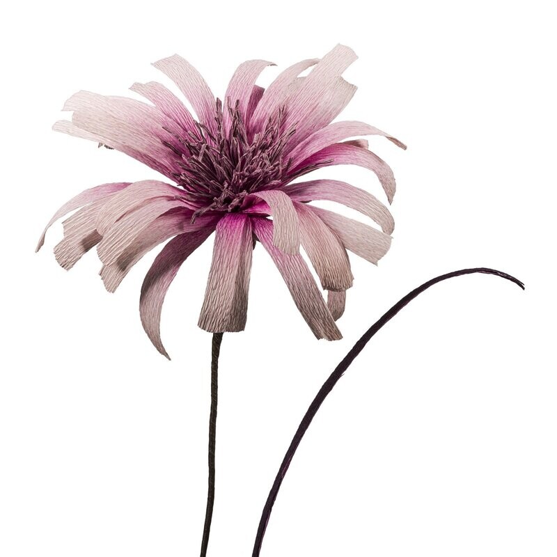 Flora Fantasia 4